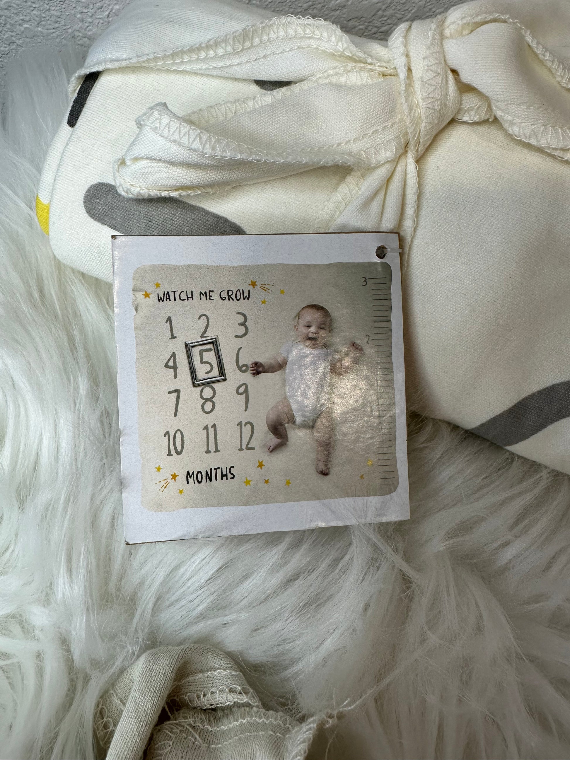 Baby Milestone Blankets